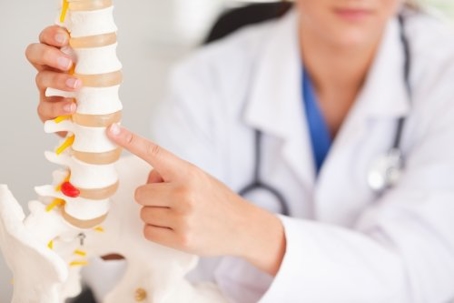 doctor pointing at vertebrate on model of human spine